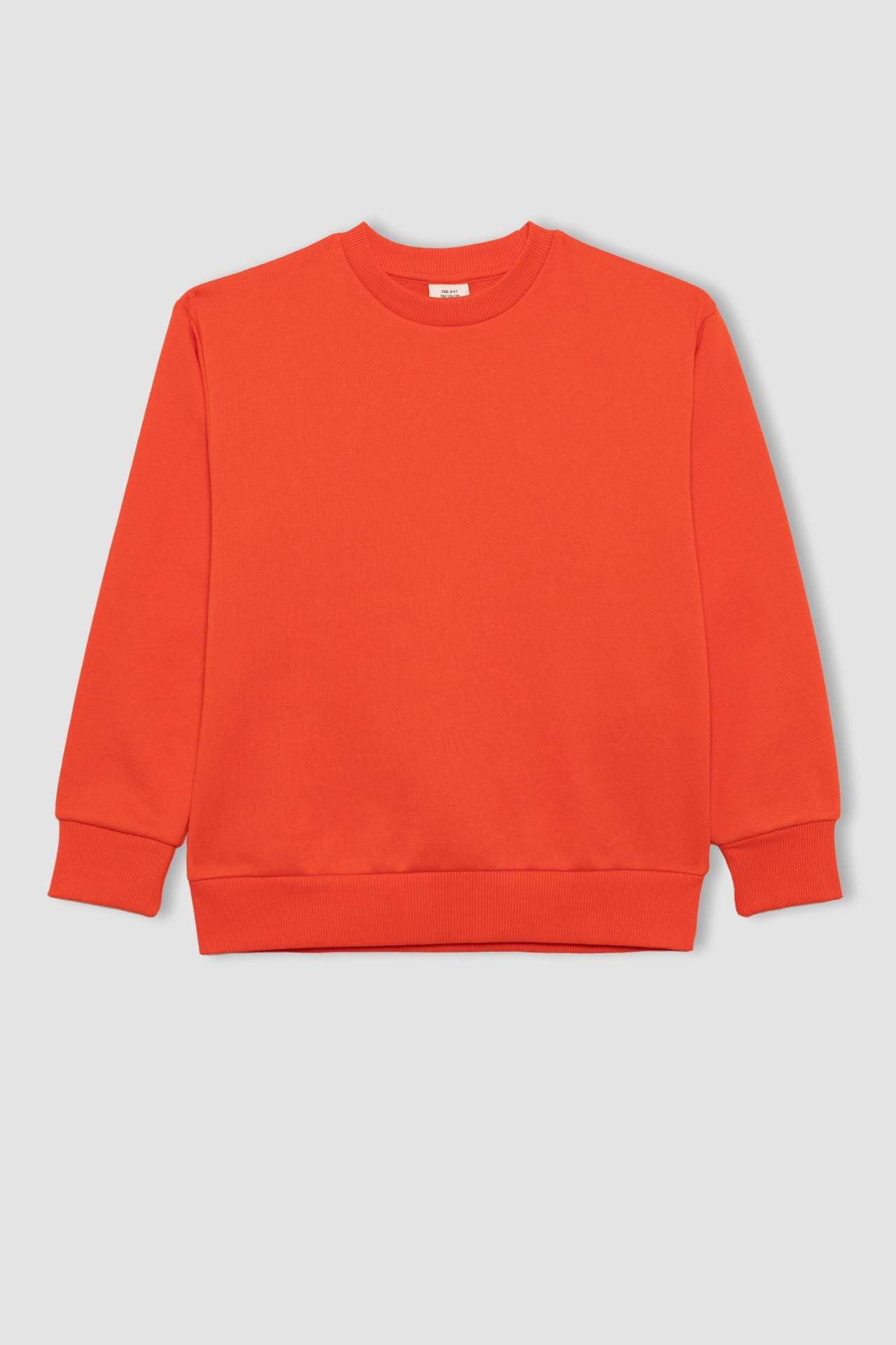 DeFacto Bluza sportowa Chłopcy B7772a8