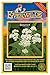 Everwilde Farms - 2000 Boneset Native Wildflower Seeds - Gold Vault Jumbo Seed Packet