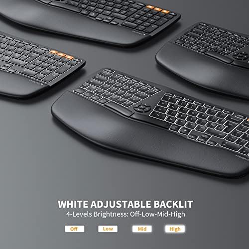 ProtoArc Backlit Ergonomic Wireless Keyboard, EK01 Bluetooth Ergo Split Keyboard, Wrist Rest, Natural Typing, Multi-Device, Rechargeable, Windows/Mac/Android