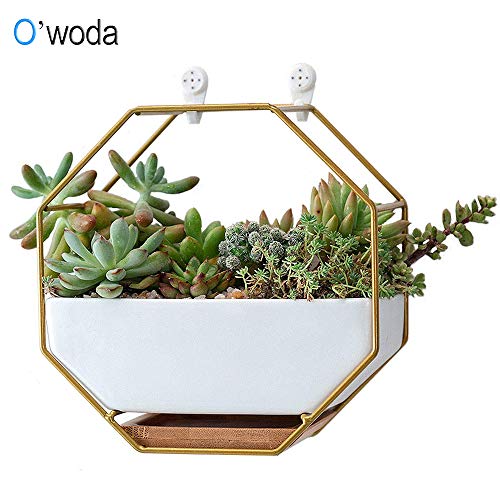 O'woda Macetas Colgantes de Cerámica,Metal Macetas Pared,con Orificio de Drenaje y Plato de Bambú,Decoración para Casa,Jardin,Sala de Estar y Boda(17.7 * 17.7cm,Dorado)