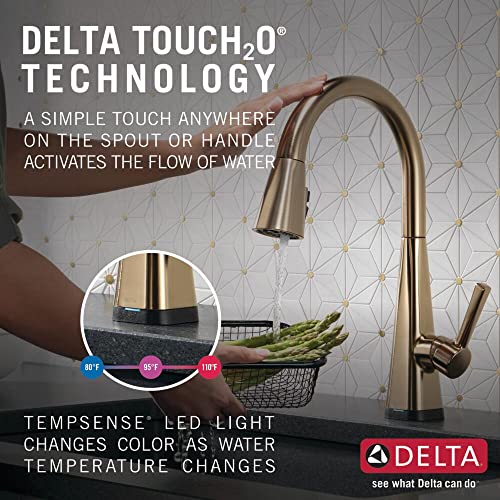 Delta 19802TZ-CZ-DST Faucet Lenta Gold Kitchen Faucet Touch thumb #1