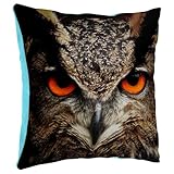 Dimensions : Taille standard 40 x 40 cm, parfaite pour vos coussins décoratifs