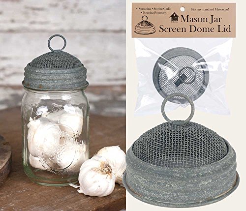 Mason Jar Screen Dome Lid (1) #TOP1