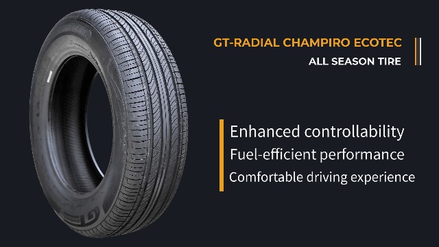 ブラックシープ195／60R16 ブラックシープ195／60R16 195/60/16 Car & Truck Tires for