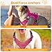 Heavy-Duty Tactical Dog Harness for Large Dogs, No Pull Adjustable Reflective Pet Vest with Molle System, K9 Military-Grade Control for Service Training, Outdoor & 10+ Breeds, Pink, Medium
