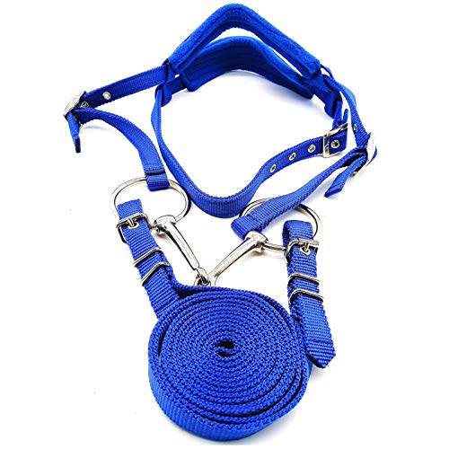 Brida de nailon azul para caballo con cabestro ajustable talla S 2