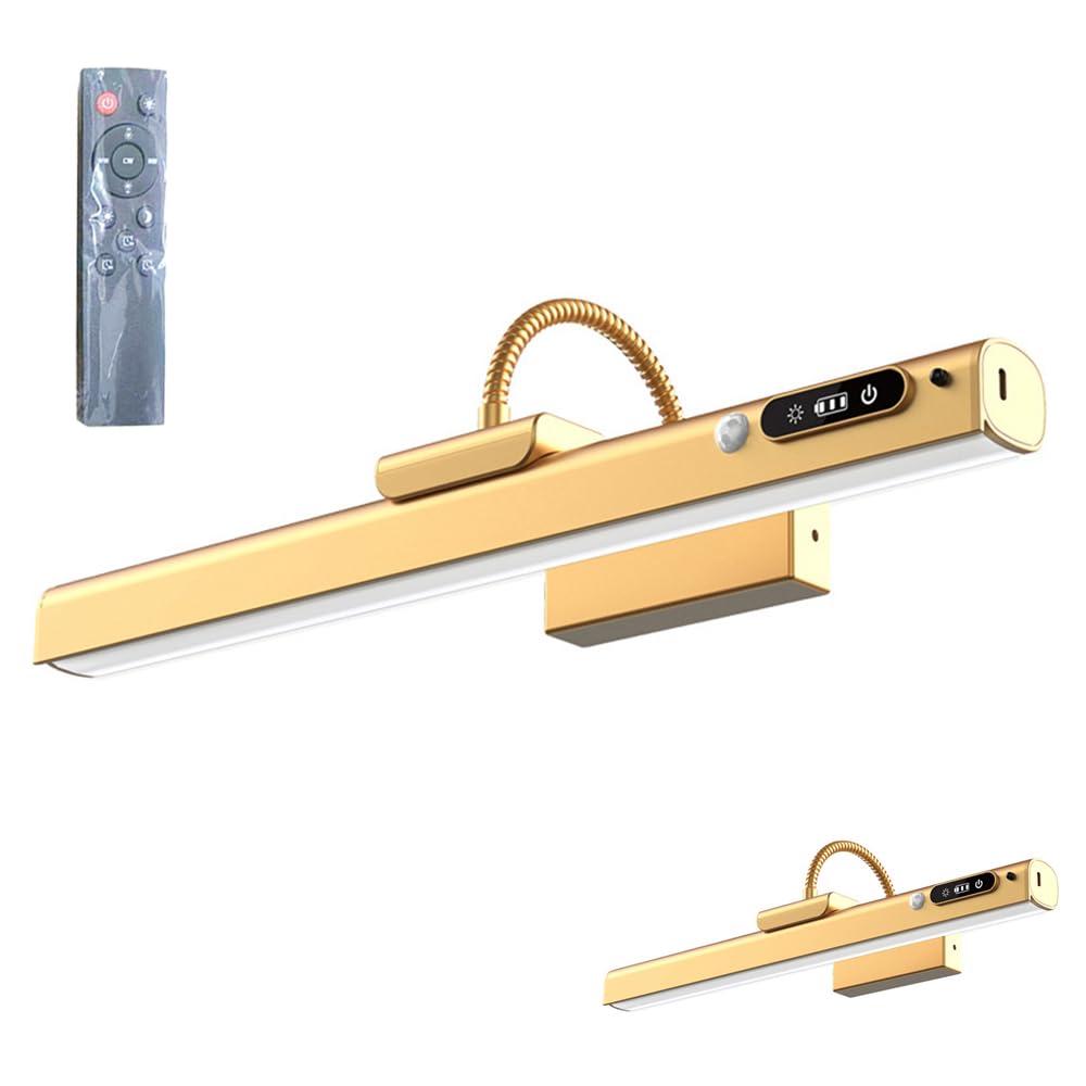 SCALVRION Picture Lights for Wall, Wireless Rechargeable Remote Control Wall Lamp