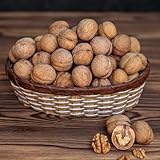 Semillas de nogal, Semillas de nueces, comprar orgánicas resistentes 10pcs