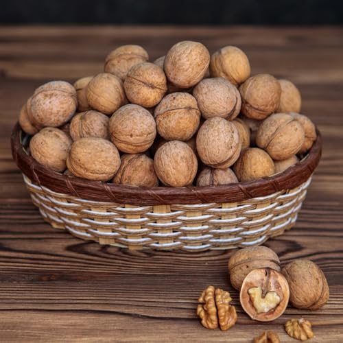 Semillas de nogal resistentes árbol bonsái Semillas de nueces, Semillas de nueces, comprar semillas de arboles semillas de bonsái semillas de arboles semillas de arboles resistentes 10pcs