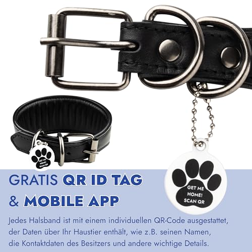FAVPET Handbemalter Echtleder Windhund Halsband Breit mit QR Code Anhänger, Weiches Lederhalsband Hund Whippet Italienisches Windspiel Saluki Lurcher Spanischer Galgo Podenco (Blaue Mohnblumen, M)