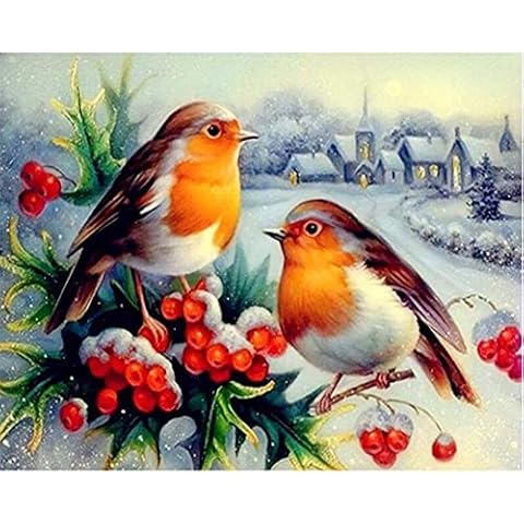 Christmas Diamond Painting Kits 5D DIY Diamond Painting Full Drill Cross Stitch Kit DIY Painting Kit Best Gifts fit for Birthday Christmas (Bird) Cover