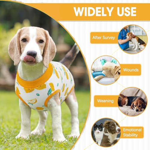 Image of BRKURLEG Small Dog Recovery Suit After Surgery Female Male, Back Zipper Spay Recovery Suit for Dogs & Cats, Anti-Licking Puppy Surgical Onesie for Abdominal Wound, Cone Alternative, Yellow L
