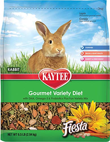 Fiesta Max Rabbit