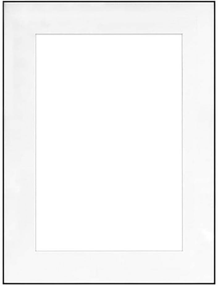 Fineline Picture Frame Color: Black, Size: 18" x 24" Frame/13" x 19" Mat