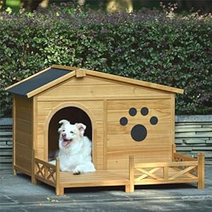 48″ Wooden Dog House,Dog Kennel with Wide Porch,Water-Resistant Asphalt Roof and Fence,Indoor & Outdoor Dog Crate W/Paw Print Design,Easy Assembly & Cleaning,for Medium Dogs,Natural