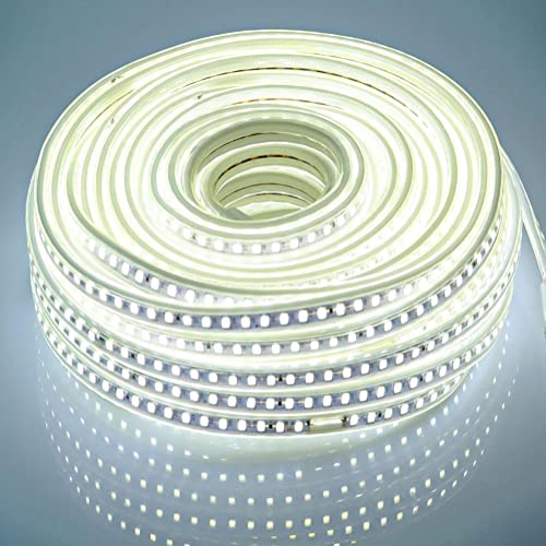 pcning Bande Lumineuse a LED 25M IP67 Etanche Ruban LED SMD 5730 220V 230V, 25 Metres Bandeau LED Exterieur 6000K (Blanc Froid, 25)