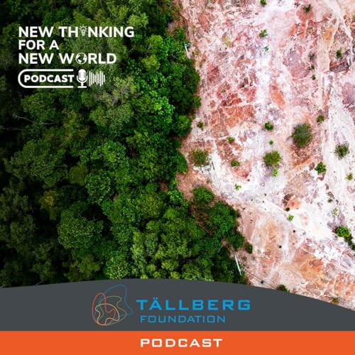 Thinking Differently About the Rainforests