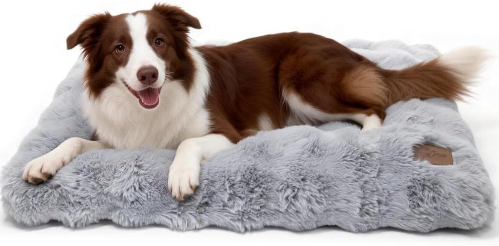 BingoPaw Cuccia Cane Interno Grande, Lavabile, 90x60x10cm, Grigio | Cuscino per Cani in Peluche 500 g/m², Ssfoderabile, Strato Interno Impermeabile e Fondo Antiscivolo, Imbottitura in Schiuma