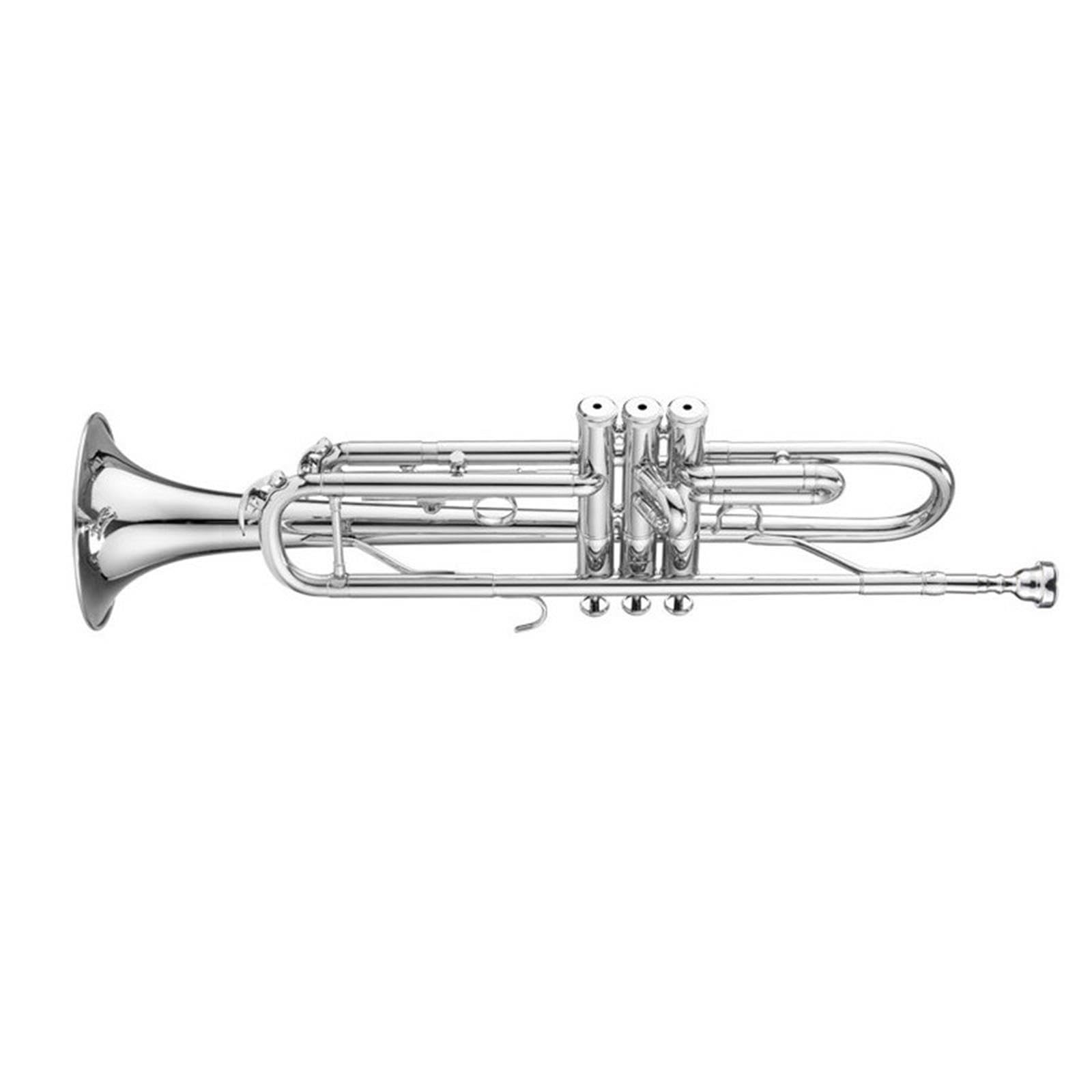 Professional Trumpet Trompeta principiante
