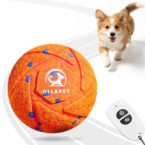 3-Mode Bouncing Dog Toy