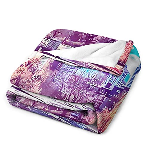 Couverture en flanelle Boston légère et pelucheuse pour lit - 4