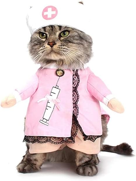 cat outfit