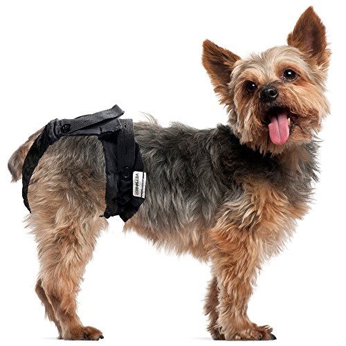 Image of Vet's Best Washable Female Dog Diaper, 1 Count