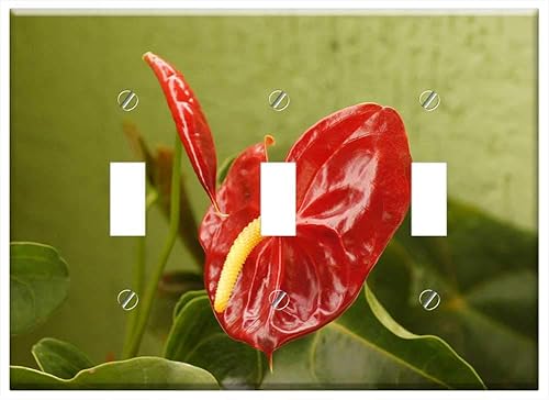 Switch Plate Triple Toggle - Flora Florez Nature Armenia Quindio