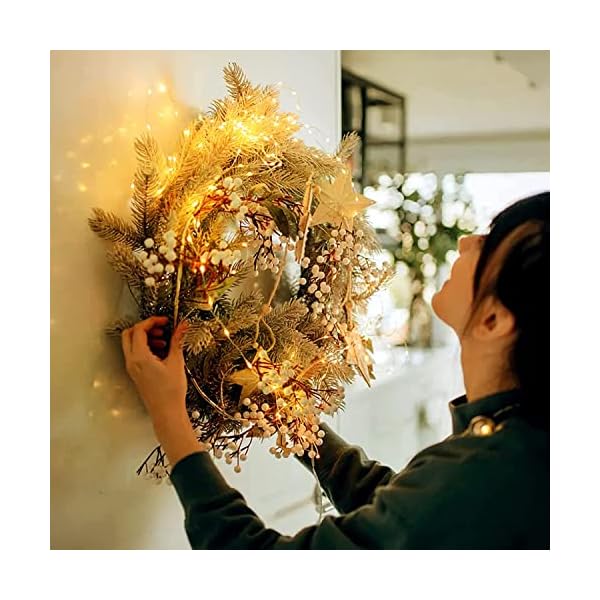 Jmexsuss copper string lights - image 10