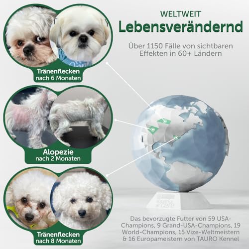 Nature's Protection Superior Care Hundefutter Trocken Getreidefrei für Alle Kleine & Mini-Rassen - Hypoallergenes Hundefutter mit Weißfisch, Trockenfutter für Erwachsene Hunde, 10kg