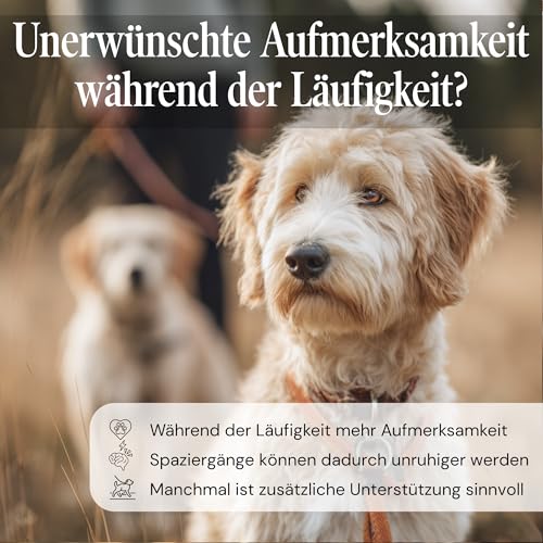 Sensipharm Anti Flirt Spray für Hunde – maskiert Läufigkeitsgeruch bei Hündinnen, reduziert unerwünschte Aufmerksamkeit von Rüden – natürliche Duftformel, 100 ml