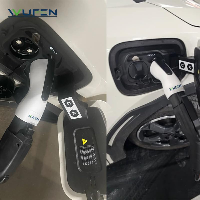 Amazon.com: WUFEN (BYD Auto Exclusive Edition) Adapter Type1 to