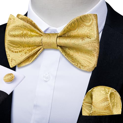 Image of DiBanGu Men Bow Tie Paisley Striped Self-Bow Tie for Men and Silk Woven Bowtie Pocket Square Cufflinks Wedding Party
