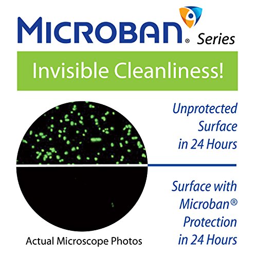 Hotel Spa Notilus Antimicrobial High Pressure Luxury Hand Shower - 6 Settings, Antimicrobial Anti-Clog Nozzles And Grip, Metal Fittings, Stainless Steel Hose/All-Chrome Finish/Top American Brand, 4.3" #TOP2