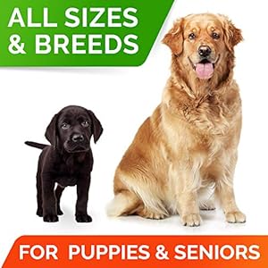 StrellaLab Dog Probiotics Treats for Picky Eaters (180ct) – Digestive Enzymes + Prebiotics – Chewable Fiber Supplement – Allergy, Diarrhea, Gas, Constipation, Upset Stomach Relief – Digestion&Immunity