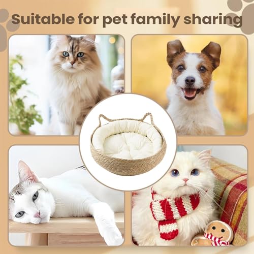 Camas de mascota para gatos ideales para el salón el escritorio o el sofá 5