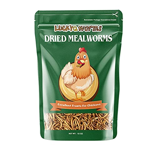 LuckyQworms Mealworms, High-Protein Dried Mealworms for Birds, Chickens, Turtles, Fish, Hamsters and Hedgehogs, Non-GMO…