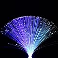 Tookie Fiber Optic Lamp, LED Colourful Changing Fiber Optic Fountain Night Light, Novelty Battery Operated Bedside Mood Lamp for Christmas New Year Home Decoration(Size:Without Box)