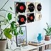 WANLIAN Black Vinyl Record Shelf Wall Mount 6 Pack,vinyl holder wall,Acrylic Album Record Holder Display Your Daily LP Listening in Office Home (Black)