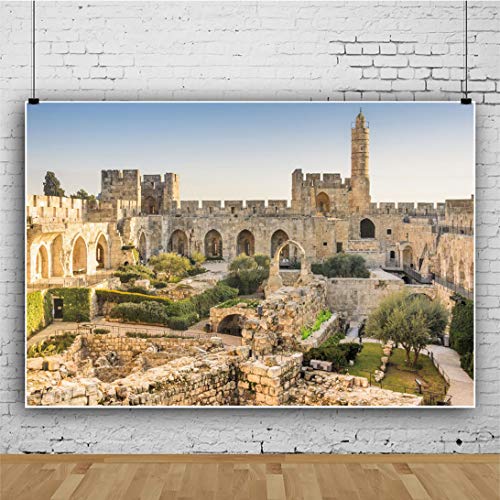 Toile fond Jérusalem Israël Vieille Ville Tour de David photographie 7x5ft