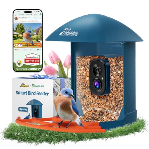 Smart Bird Feeder with Camera, 2K HD Birdwatching Camera with AI Identify Bird Species & Solar Panel, Auto Video Capture & Instant Notifications, for Mom Dad Birdlovers