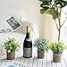 THE BLOOM TIMES Set of 3 Small Potted Artificial Plants Plastic Fake Greenery Faux Plants in Pots for Rustic Home Office Desk Farmhouse Bathroom Kitchen Indoor Decor