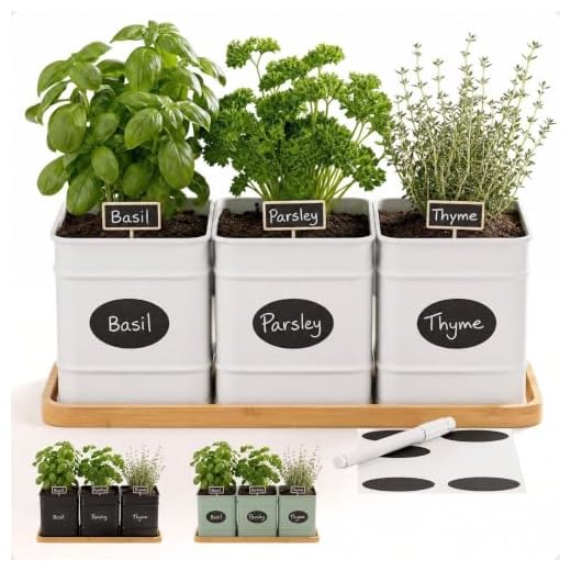 Herb Planter Indoor, 3-pc Herb Pots w/ Drainage Holes, Bamboo Tray & Labels