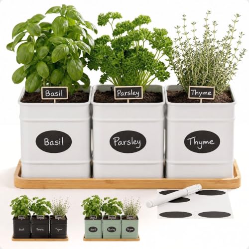 Herb Planter Indoor, 3-pc Herb Pots w/ Drainage...