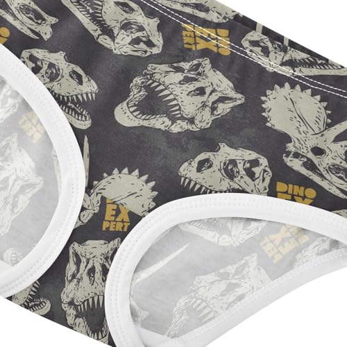 Girls Underwear Soft Cotton Dinosaur Skull Kids Panties in Sizes 2/3t, 4t, 5t, 6 and 84
