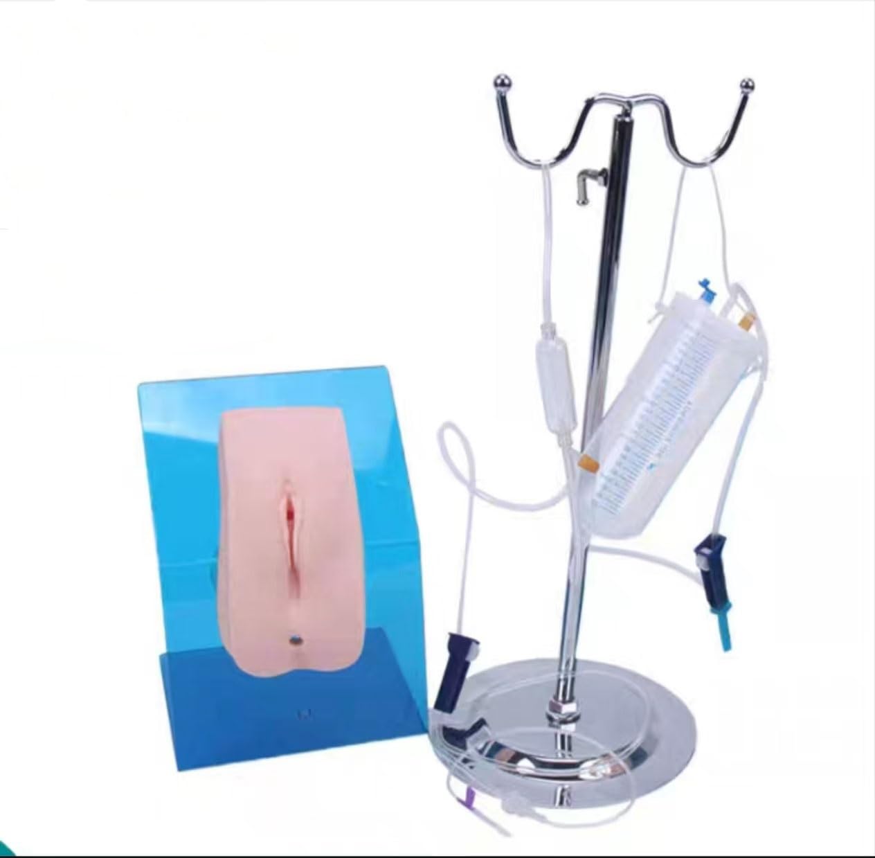 Modèle de formation de cathéter urinaire avec anatomie génitale féminine réaliste - 5