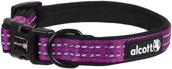Alcott Adventure Dog Collar, Medium, Purple