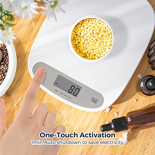 Munbyn Digital Shipping Scale, Accurate 11Lb/0.1Oz Portable Small Postal Scale, Ml Unit/Tare Function, Scale For Packages, Small Business, Handmade, Liquids, Jewelry, And Boutique #TOP3