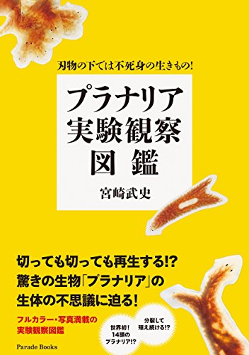 刃物の下では不死身の生きもの! プラナリア実験観察図鑑