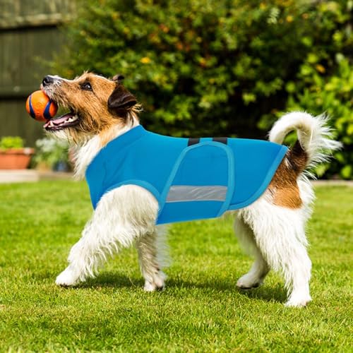 Image of MIGOHI Dog Anxiety Relief Coat,Comfort Anxiety Vest for Dogs,Adjustable Dog Anxiety Calming Wrap for Fireworks,Travel,Separation,Anxiety Jacket for Large Dogs,L,Blue
